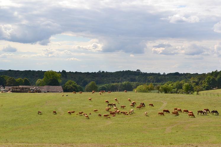 La Commission européenne propose que toutes les exploitations bovines, porcines et avicoles comptant plus de 150 unités de gros bétail (UGB) tombent sous le coup de la directive, ce qui ne plaît pas aux interprofessions concernées.