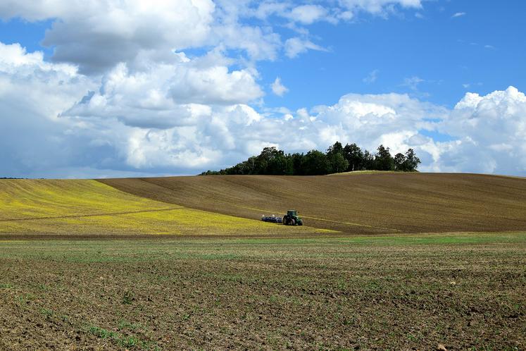 «Le statut du fermage constitue l’un des piliers d’une transmission réussie», assure Patrice Chaillou, secrétaire de la SNFM.