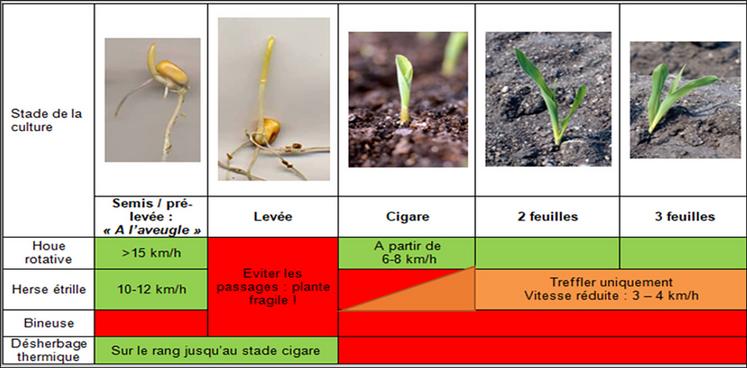 Figure 1 : stade d’intervention des outils de désherbage mécanique.