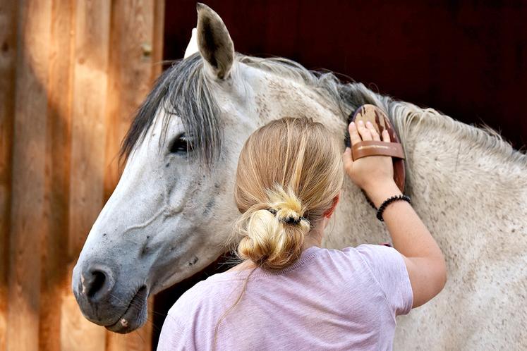 Cette façon de parler aux jeunes enfants, que l’humain a tendance à utiliser instinctivement avec certains animaux, facilite la communication entre humains et chevaux dans les interactions de tous les jours (pansage, travail…). 
