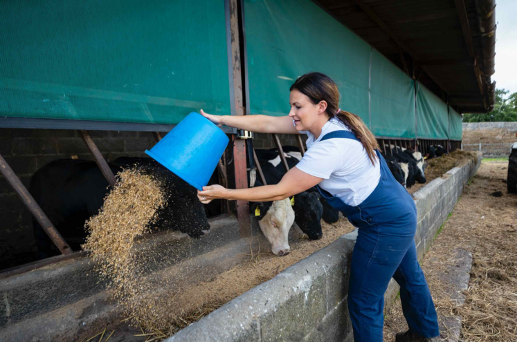 alimentation animale