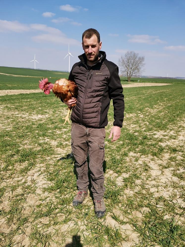 Céline et Guillaume Moïse élèvent des volailles de chair plein air. Ils ont fait le choix de races anciennes et rustiques, réputées pour leurs qualités gustatives. 