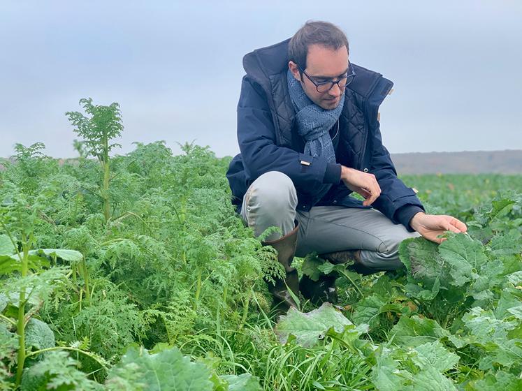 Hugo Puech, directeur de l’exploitation du Paraclet : «le parcours consistera  en des panneaux pédagogiques, qui expliqueront nos pratiques et leurs bénéfices sur la biodiversité locale.»