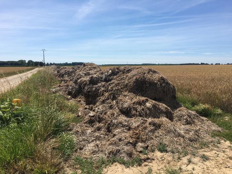L’indice de stabilité de la matière organique (ISMO) qui permet d’estimer le potentiel humique d’un produit est d’environ 60 % pour les fumiers de bovins,  mais il varie selon le niveau de paillage et la maturité. 