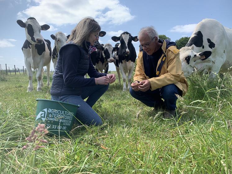 Claire Leroy (CA 80) et Bruno Osson (Semae) proposent des leviers d’action pour améliorer la qualité de la prairie.