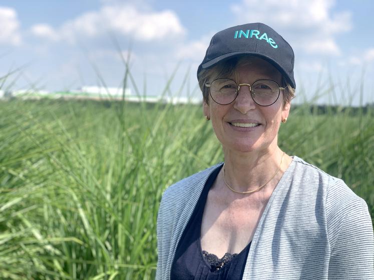 Maryse Brancourt-Hulmel et son équipe planchent sur la capacité de la plante à produire de la biomasse, et sur les services écosystémiques qu’elle peut rendre. 