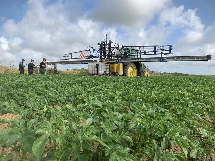 Au Gaec Bouvet, la pénibilité du travail est réduite grâce à ce récepteur de plants de pommes de terre fait maison. Plus besoin de porter de lourds sacs. 