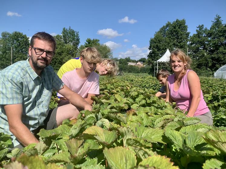Benjamin, Ariane, Marceau, Achille et Ferdinand : toute la famille Legry s’active autour de l’activité de production  et de vente directe de fraises. 
