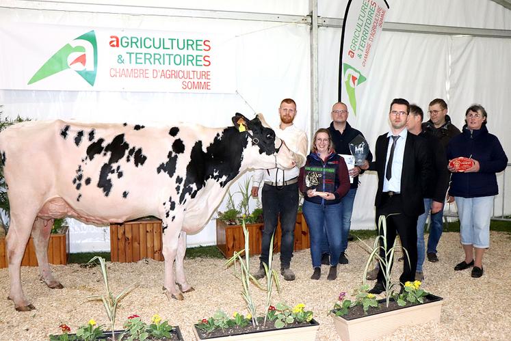 Papaye des Saules, grande championne de la foire de Montdidier 2023, appartient à la SCEA des Saules à Pisseleu (60). 