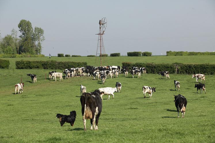 Produire davantage de lait peut être une solution pour accroître la marge globale de l’atelier, mais à plusieurs conditions. 