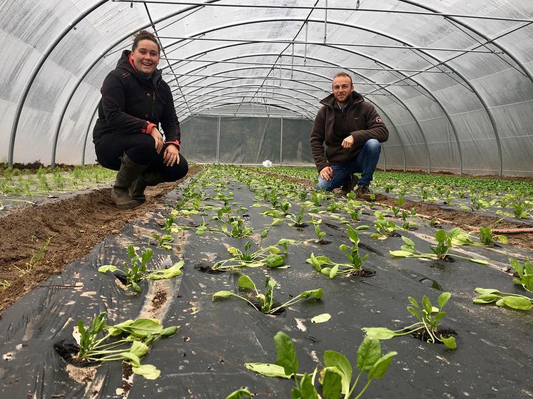 À Thiers-sur-Thève (60), Colette Ringeval et Corentin Bleyaeart ont trouvé le lieu propice au développement de leurs activités très diversifiées : maraîchage bio, poules pondeuses bio, production de miel,  pension de chevaux et vente à la ferme. 