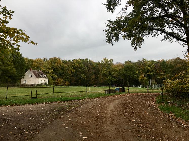 À Thiers-sur-Thève (60), Colette Ringeval et Corentin Bleyaeart ont trouvé le lieu propice au développement de leurs activités très diversifiées : maraîchage bio, poules pondeuses bio, production de miel,  pension de chevaux et vente à la ferme. 