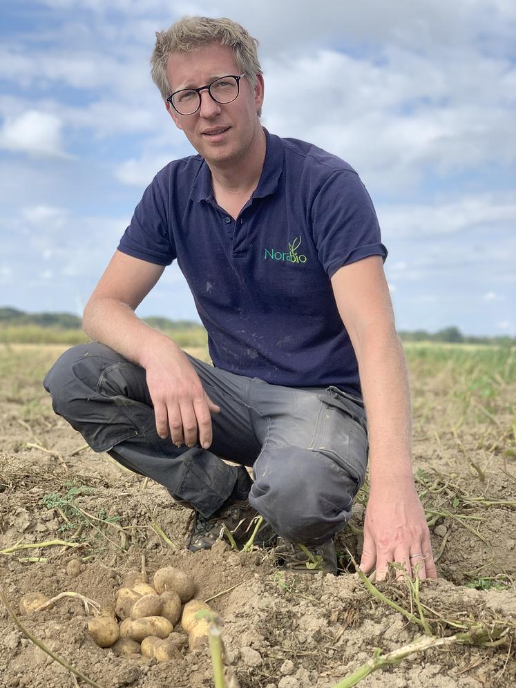 Olivier Devillers cultive 4 ha de pommes de terre bio robustes. Un choix  agronomiquement cohérent. 