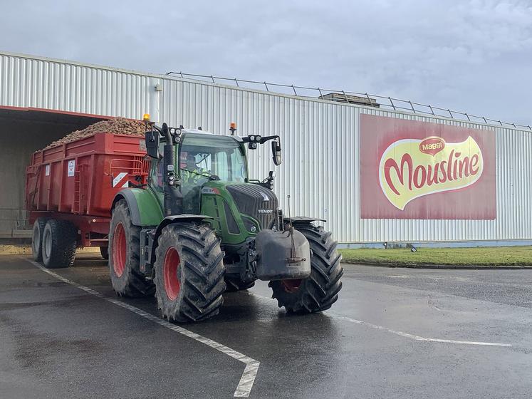 Environ 500 tonnes de pommes de terre sont réceptionnées chaque jour, soit 100 000 tonnes par an. 