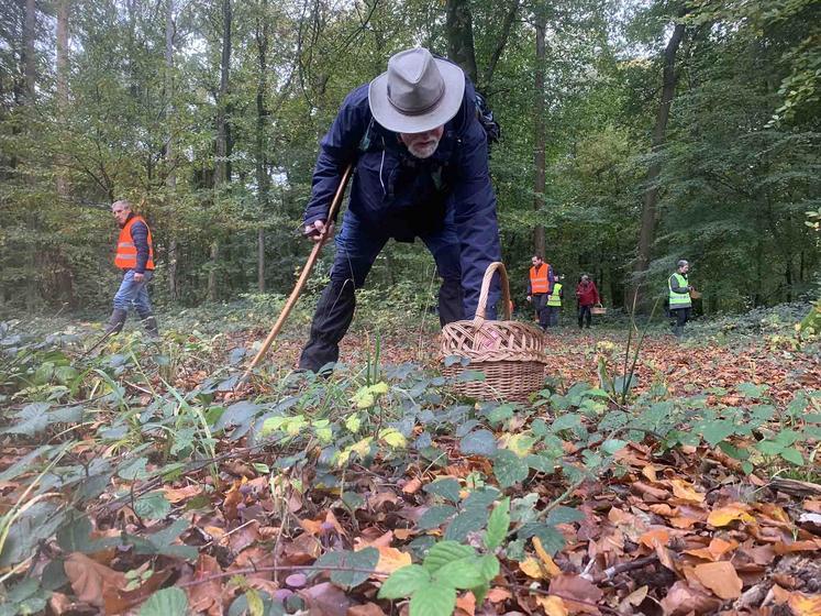 En matière de champignons, les risques de confusion sont grands. «Il faut être sûr de ce que l’on ramasse, sinon poubelle.»