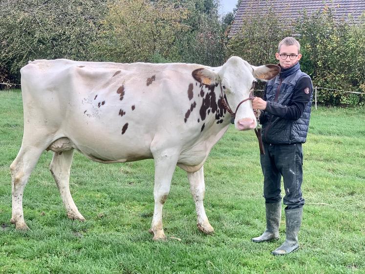 Antoine et Les Croisettes Tease red avaient fait sensation lors de leur première sortie en concours à la foire de Montdidier,  en avril dernier. 