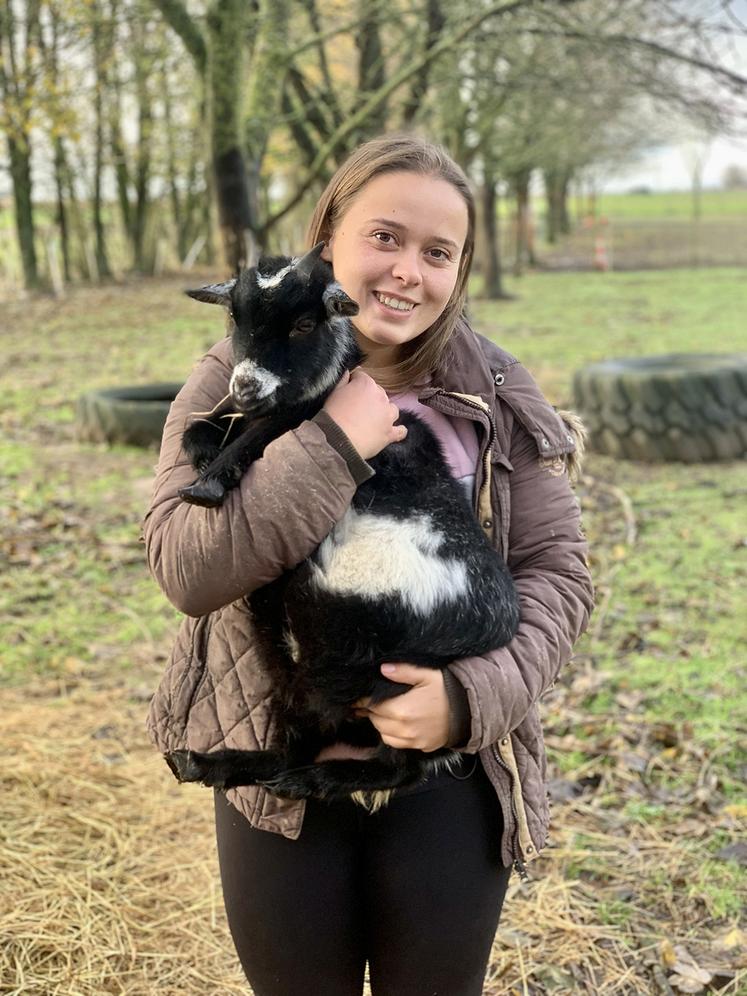 Toutes sortes d’animaux, comme des chèvres toy, composent la ferme  pédagogique d’Amandine. 