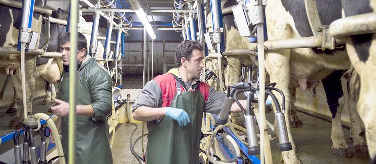 Parmi les chiffres annoncés de 2020, le prix du lait A-B payé aux adhérents est en baisse de 5 €/1 000 l.