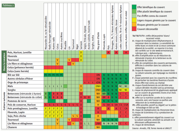 semis couverts après moisson