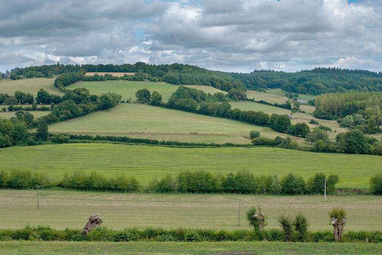 Des crédits sont accordés pour les haies. 