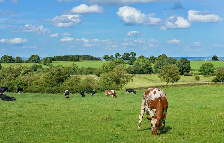 Moins nombreuses, les exploitations avec animaux concentrent des effectifs plus importants. 