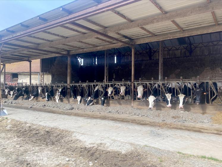 Avec une trentaine de vaches et un bâtiment qui ne peut pas être agrandi,  augmenter le revenu lait implique d’optimiser les résultats techniques. 
