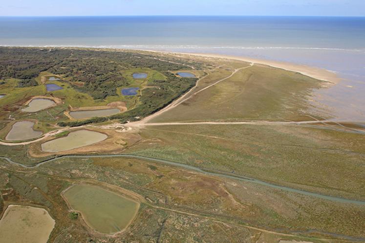 Le territoire géré par l’ACDPM  de la baie  d’Authie sud s’étend sur  450 hectares,  de la Pointe  de Routhiauville  au Pont-à-Cailloux. 
