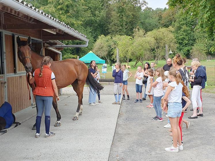 Au même titre que le chien, le cheval est un auxiliaire indispensable du veneur  qui lui voue une passion comparable à celle qu’il a pour la chasse. 