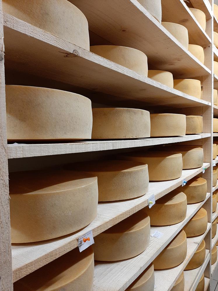 Le Saint-Fuscien vient agrandir la gamme de produits laitiers de FermOgoût.