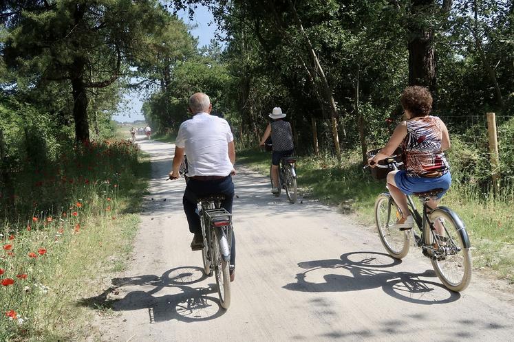 Les premiers retours des utilisateurs – des cyclistes en balade -, comme ceux des professionnels du tourisme qui en espèrent des retombées sont «très positifs».