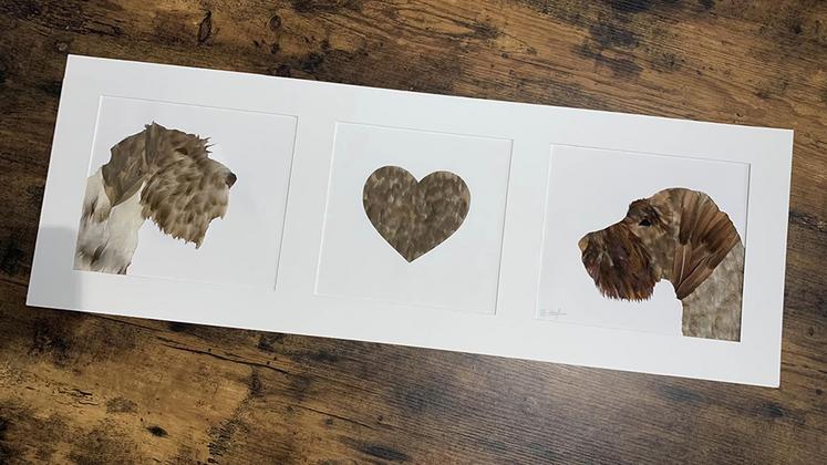 Derrière ce tableau représentant deux drahthaars, plusieurs semaines de travail. 