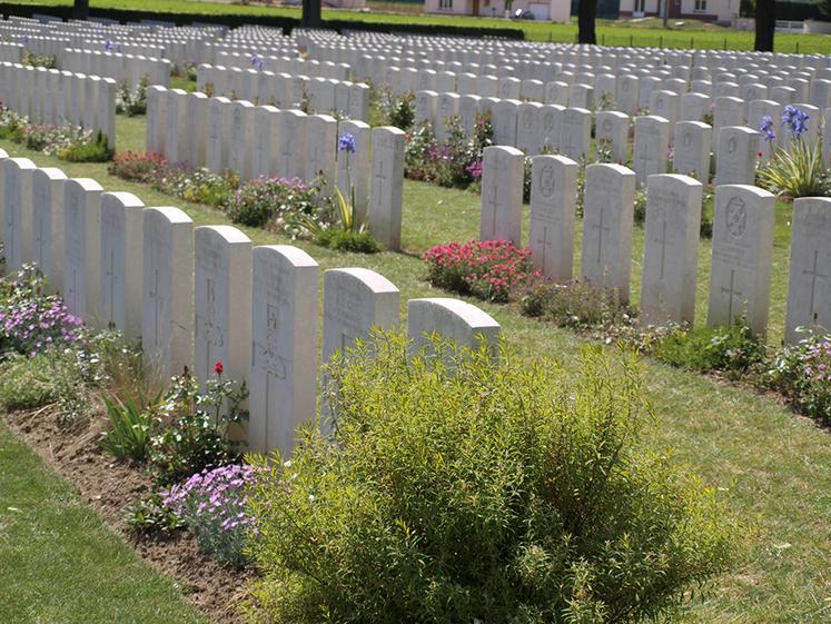 Sur les 3 143 soldats sud-africains présents à partir du 15 juillet 1916 au Bois  Delville, seuls 143 en sortiront vivants. 
