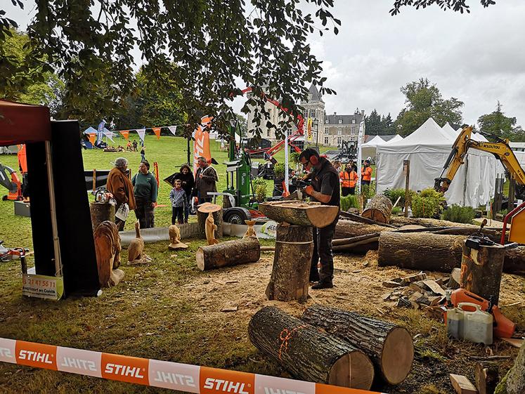 Durant ces deux journées aussi riches que foisonnantes, plus d’une soixantaine d’exposants sont attendus, couvrant la filière forêt-bois dans toute sa diversité. 