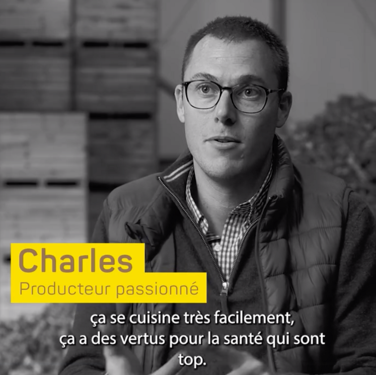 endives communication Apef