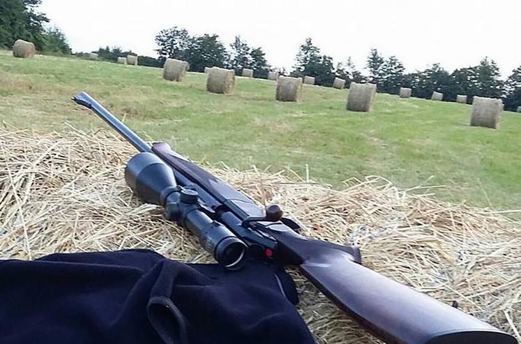 Le tir d’été, à l’approche comme à l’affût, est un bon moyen de réaliser quelques prélèvements et de découvrir autrement un territoire de chasse. 