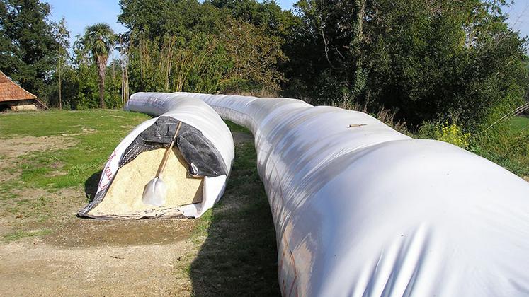 Le maïs grain humide apporte aux éleveurs une plus grande autonomie  alimentaire et assure la traçabilité complète des maïs produits et utilisés sur l’exploitation.