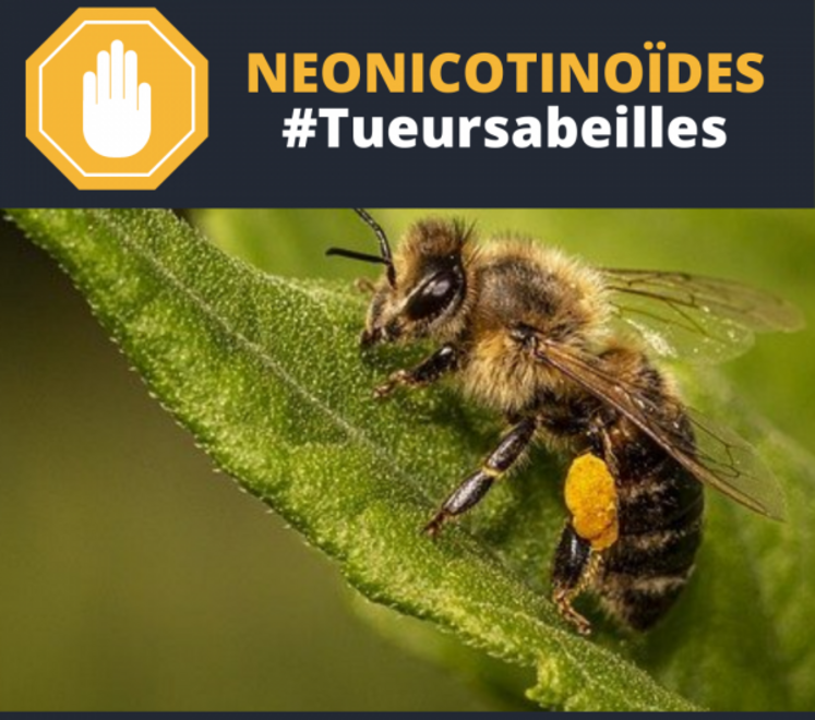 NNI et Générations Futures