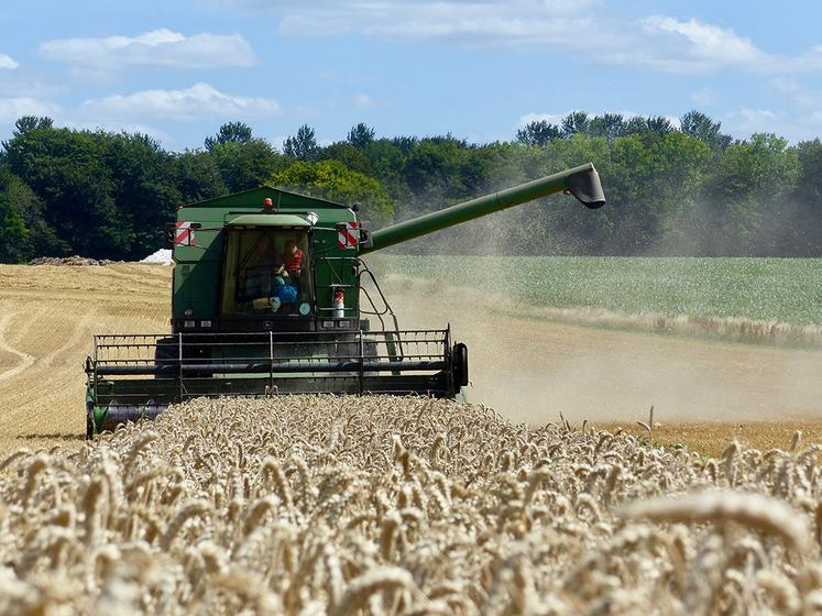 La remontée des prix des céréales a plus que compensé le recul des volumes.