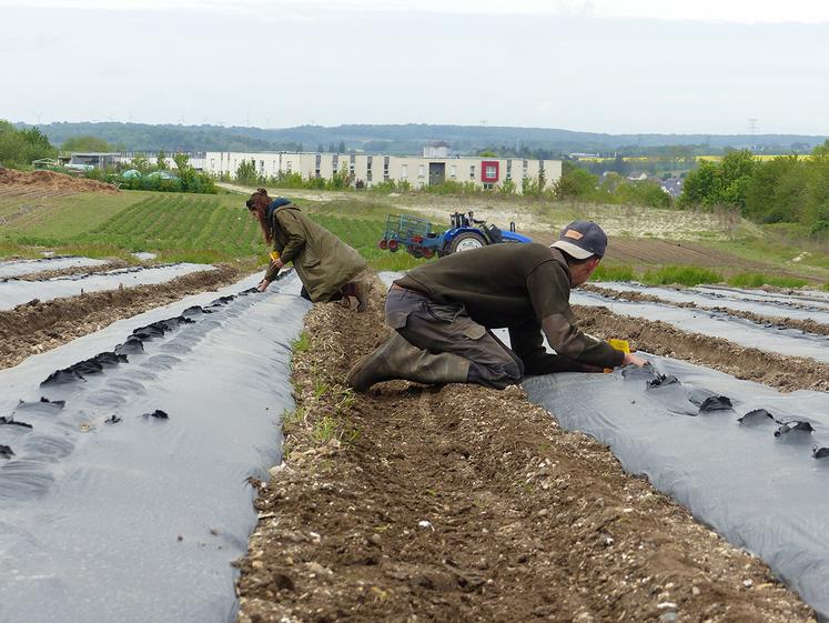 Les Hauts-de-France veulent par exemple faciliter l’installation grâce au test  en entreprise, qui permet le transfert de connaissances entre cédant et porteur. 