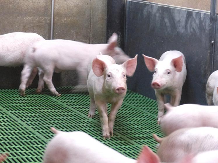 La tendance inflationniste reflète  les bouleversements de la filière. 