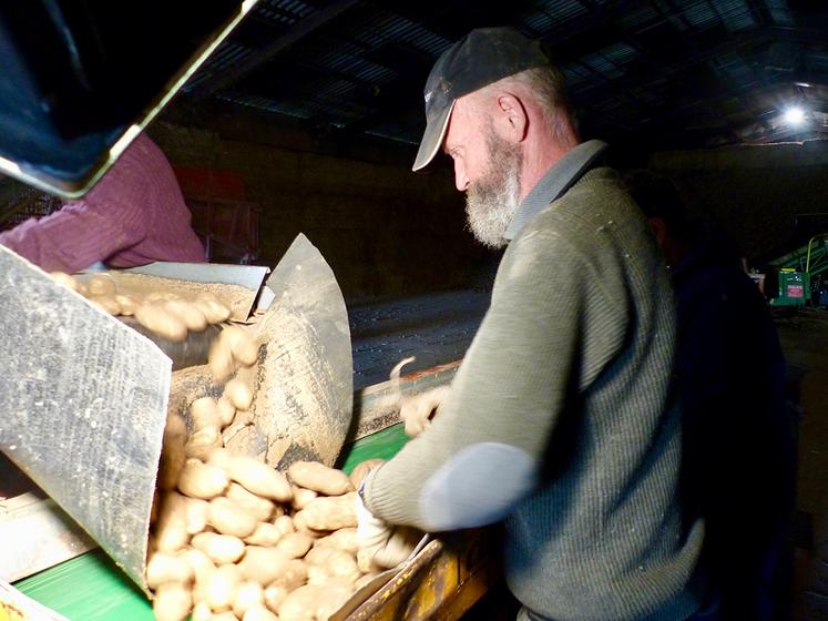 Pascal Snoeck, agent de remplacement, est qualifié pour le tri de pommes de terre et la conduite des bennes. «J’ai l’habitude des campagnes d’arrachage. Et puis  un tracteur reste un tracteur.»