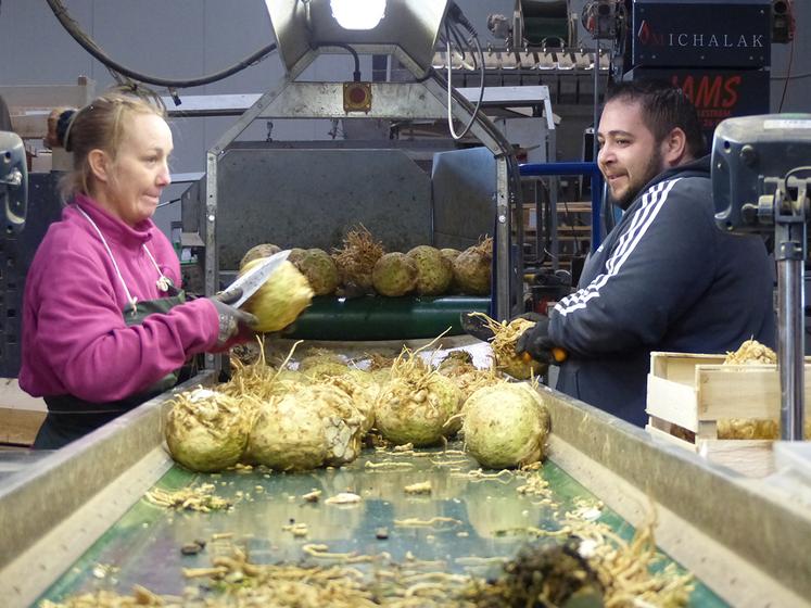 Ça compte  Un panier d'épicerie toujours cher