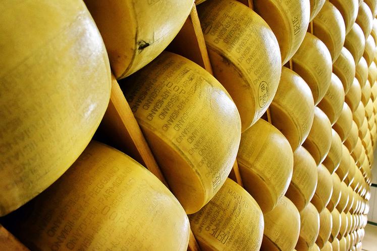 xJusqu’à 150 meules de parmigiano reggiano sont produites chaque jour  dans l’usine de Tricolore, près de Parme. 