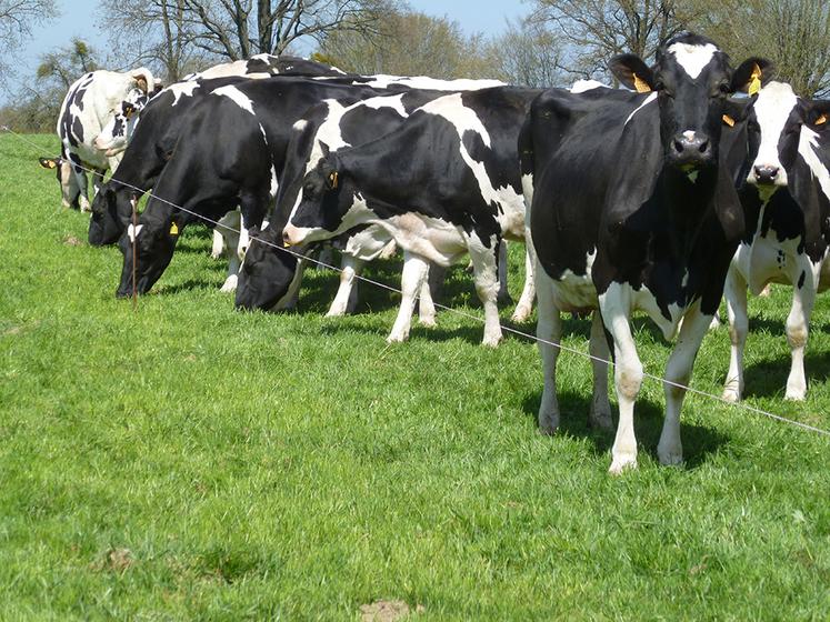 La gestion du pâturage, de préférence au fil et en respectant toujours la portance des sols, est importante. 