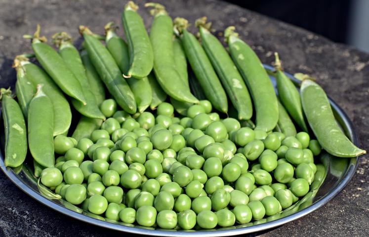 consommation fruits et légumes