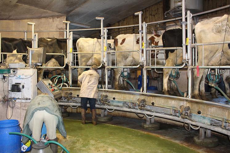 La traite a été réduite à 1h30.