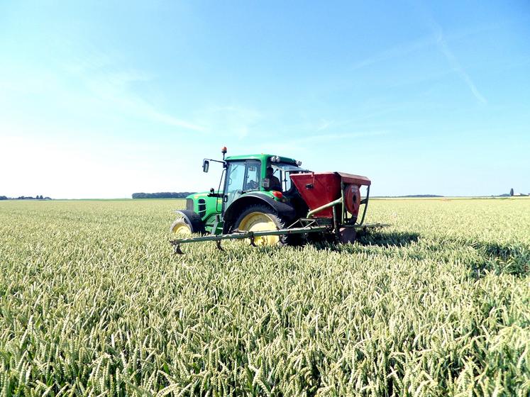 Semis à l’épandeur pneumatique à rampe, 30 jours avant moisson.