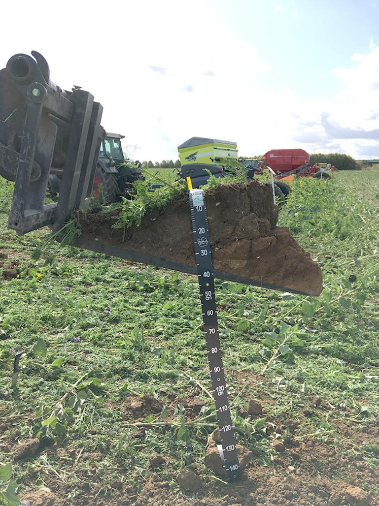 Réalisation d’un mini profil 3D dans un couvert lors de la démo du 2 octobre 2019 à Pont-de-Metz : implantation de blé en semis direct.