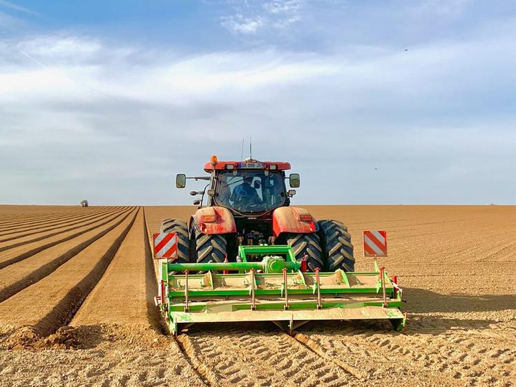La technique de plantation en billons se pratique généralement pour la production de plants. Nicolas Sainte Beuve l’a adaptée à sa production de grenaille.