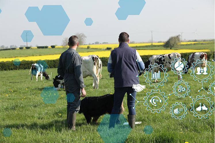 Il est essentiel d'impliquer les parties prenantes clés de l'entreprise (associés,  salariés, etc.) tout au long de ce processus pour garantir l'adhésion et le soutien  à la stratégie de l'entreprise.